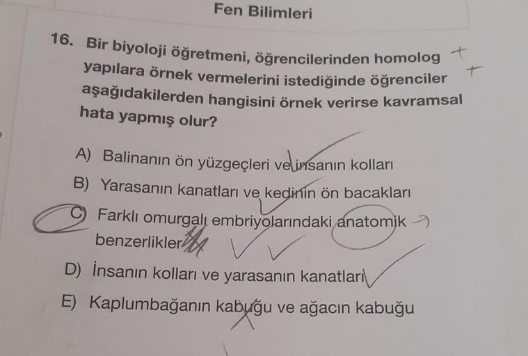 Fen Bilimleri
16. Bir biyoloji öğretmeni, öğrencilerinden homolog +
yapılara örnek vermelerini istediğinde öğrenciler
aşağıdakilerden hangisini örnek verirse kavramsal
+
hata yapmış olur?
A) Balinanın ön yüzgeçleri ve insanın kolları
B) Yarasanın kanatları