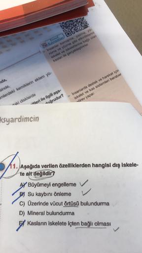 Temel,
Kayramlar
da,
sinde,
emlerdeki kemiklerin eklem yü-
aki disklerde
Insanlar konuşma, yazma, yü-
rüme ve yüzme gibi etkinliklerini
iskelet ve iskeletlerine bağlı olan
kasları ile gerçekleştirirler.
tleri ile ilgili aşa-
doğrudur?
ksyardimcin
Insanlard