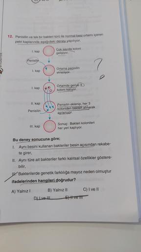 12. Penisilin ve tek bir bakteri türü ile normal besi ortamı içeren
petri kaplarında aşağıdaki deney yapılıyor.
O
1. kap
Penisilin
1. kap
1. kap
II. kap
Penisilin
III. kap
Çok sayıda koloni
gelişiyor.
Ortama penisilin
ekleniyor.
Ortamda geriye 3
koloni kal