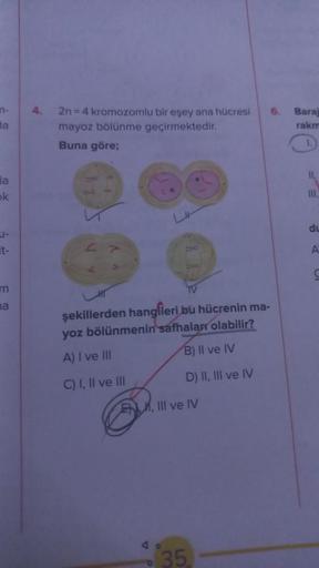 da
la
k
U-
m
na
4.
2n = 4 kromozomlu bir eşey ana hücresi 6. Baraj
mayoz bölünme geçirmektedir.
rakm
Buna göre;
şekillerden hangileri bu hücrenin ma-
yoz bölünmenin safhaları olabilir?
A) I ve III
B) II ve IV
C) I, II ve III
D) II, III ve IV
EM, III ve IV