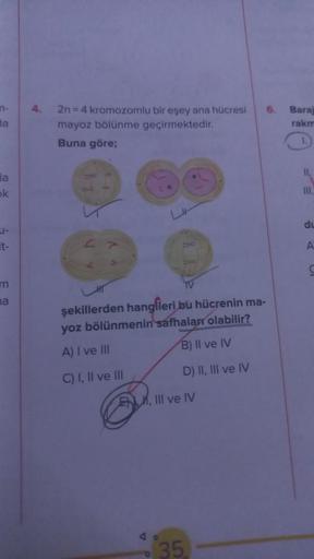 da
la
k
U-
m
na
4.
2n = 4 kromozomlu bir eşey ana hücresi 6. Baraj
mayoz bölünme geçirmektedir.
rakm
Buna göre;
şekillerden hangileri bu hücrenin ma-
yoz bölünmenin safhaları olabilir?
A) I ve III
B) II ve IV
C) I, II ve III
D) II, III ve IV
EM, III ve IV
