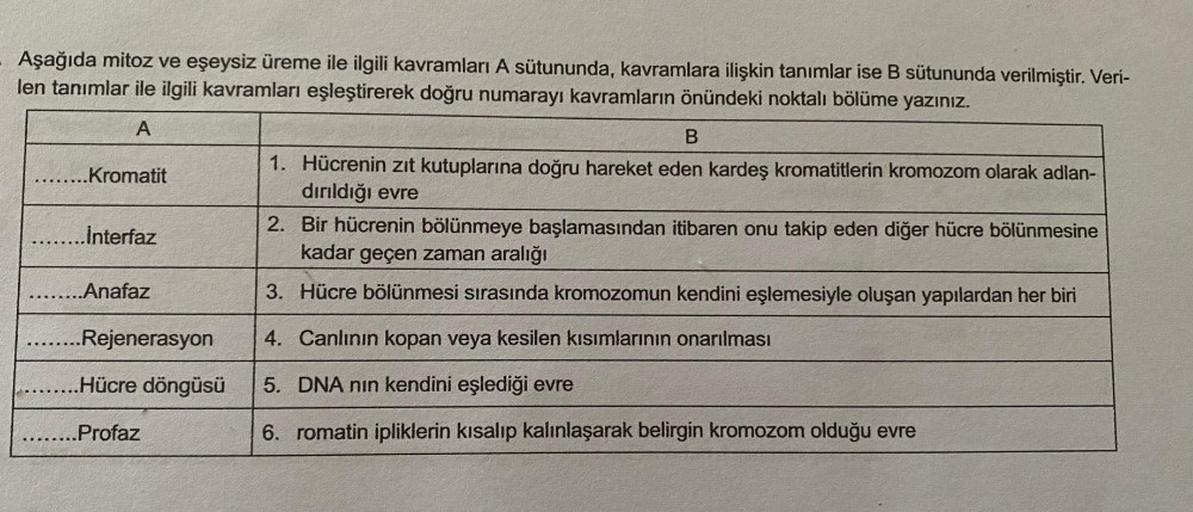 Aşağıda mitoz ve eşeysiz üreme ile ilgili kavramları A sütununda, kavramlara ilişkin tanımlar ise B sütununda verilmiştir. Veri-
len tanımlar ile ilgili kavramları eşleştirerek doğru numarayı kavramların önündeki noktalı bölüme yazınız.
A
.Kromatit
...İnte