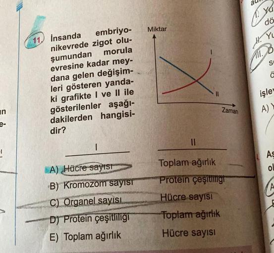 in
e-
embriyo-
nikevrede zigot olu-
şumundan
morula
evresine kadar mey-
dana gelen değişim-
leri gösteren yanda-
ki grafikte I ve II ile
gösterilenler aşağı-
dakilerden hangisi-
dir?
11. İnsanda
1
A) Hücre sayısı
B) Kromozom sayısı
C) Organel sayısı
D) Pro