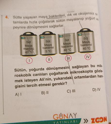 4. Sütte yaşayan maya bakterileri, ilık ve oksijensiz or
tamlarda hızla çoğalarak sütün mayalanıp yoğurt ve
peynire dönüşmesini sağlarlar.
0000
Süt
Maya
mantarı
40°C
0000
Süt
Maya
bakterisi
5 °C
11
10000
Süt
Maya
bakterisi
40 °C
C) III
10000
Sut
GUNAY
YAYI