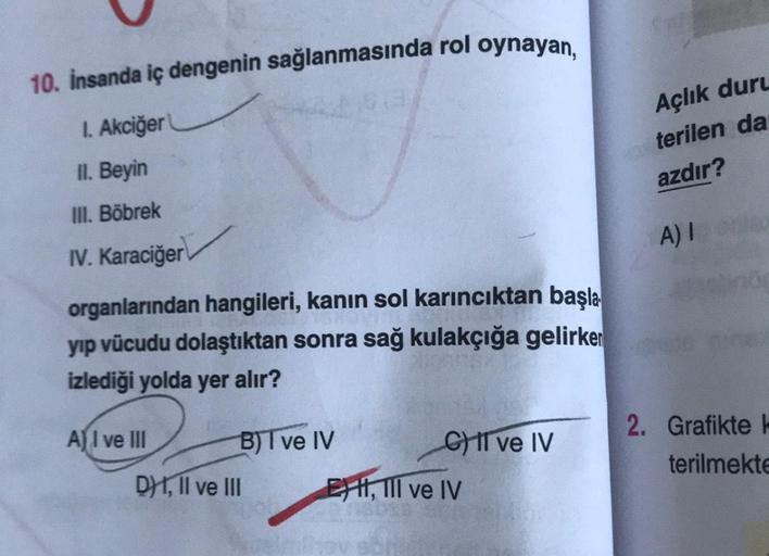 10. İnsanda iç dengenin sağlanmasında rol oynayan, Biyoloji 10. İnsanda iç dengenin sağlanmasında rol oynayan, Biyoloji