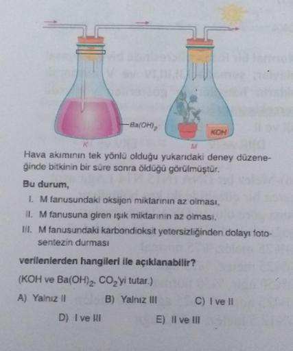 Ba(OH)₂
Hava akımının tek yönlü olduğu yukarıdaki deney düzene-
ğinde bitkinin bir süre sonra öldüğü görülmüştür.
Bu durum,
1. M fanusundaki oksijen miktarının az olması,
II. M fanusuna giren ışık miktarının az olması,
III. M fanusundaki karbondioksit yete