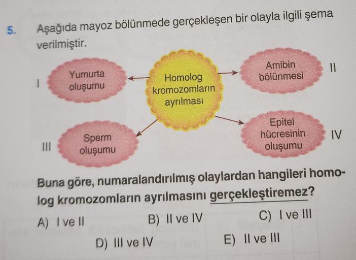 5.
Aşağıda mayoz bölünmede gerçekleşen bir olayla ilgili şema
verilmiştir.
1
|||
Yumurta
oluşumu
Sperm
oluşumu
Homolog
kromozomların
ayrılması
Amibin
bölünmesi
D) III ve IV
Epitel
hücresinin
oluşumu
||
Buna göre, numaralandırılmış olaylardan hangileri homo