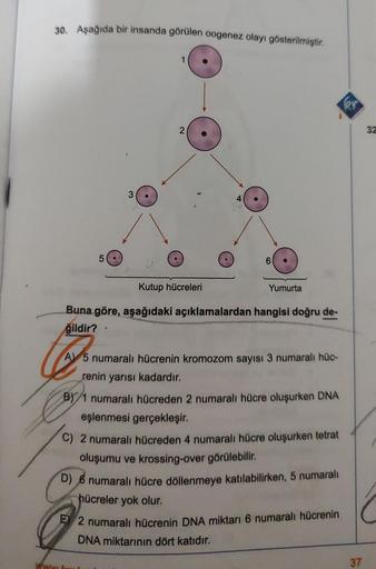 30. Aşağıda bir insanda görülen oogenez olayı gösterilmiştir.
5
3
wwer front
1
2
4
6
Kutup hücreleri
Buna göre, aşağıdaki açıklamalardan hangisi doğru de-
ğildir?
Yumurta
AV 5 numaralı hücrenin kromozom sayısı 3 numaralı hüc-
renin yarısı kadardır.
BY 1 nu