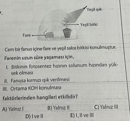 3.
Fare
Cam bir fanus içine fare ve yeşil saksı bitkisi konulmuştur.
Farenin uzun süre yaşaması için,
II. Fanusa kırmızı ışık verilmesi
III. Ortama KOH konulması
faktörlerinden hangileri etkilidir?
A) Yalnızl
Yeşil ışık
1. Bitkinin fotosentez hızının solun