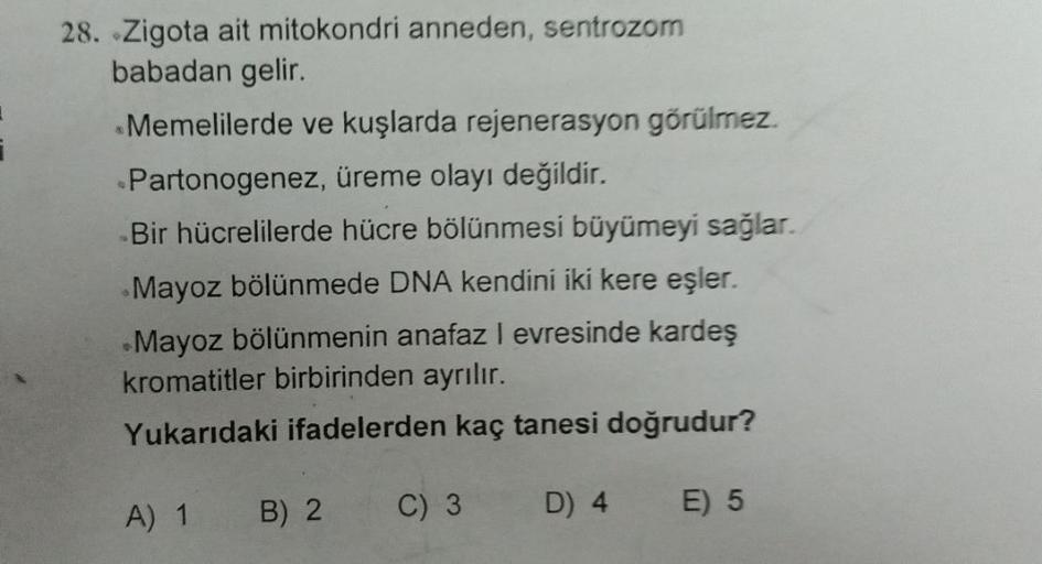 28. Zigota ait mitokondri anneden, sentrozom
babadan gelir.
•Memelilerde ve kuşlarda rejenerasyon görülmez.
Partonogenez, üreme olayı değildir.
Bir hücrelilerde hücre bölünmesi büyümeyi sağlar.
Mayoz bölünmede DNA kendini iki kere eşler.
Mayoz bölünmenin a
