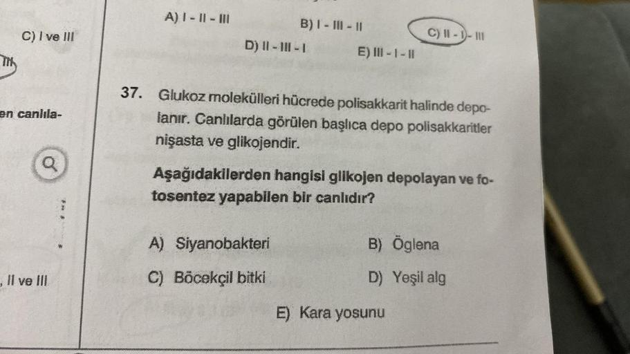 THE
C) I ve III
en canlila-
Q
, II ve III.
A) I-II-III
B) I-III-II
D) II - III - I
E) III-1 -11
A) Siyanobakteri
C) Böcekçil bitki
37. Glukoz molekülleri hücrede polisakkarit halinde depo-
lanır. Canlılarda görülen başlıca depo polisakkaritler
nişasta ve g