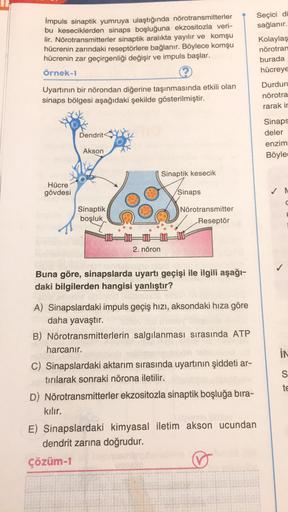 İmpuls sinaptik yumruya ulaştığında nörotransmitterler
bu keseciklerden sinaps boşluğuna ekzositozla veri-
lir. Nörotransmitterler sinaptik aralıkta yayılır ve komşu
hücrenin zarındaki reseptörlere bağlanır. Böylece komşu
hücrenin zar geçirgenliği değişir