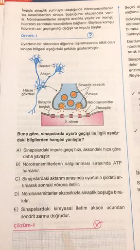 İmpuls sinaptik yumruya ulaştığında nörotransmitterler
bu keseciklerden sinaps boşluğuna ekzositozla veri-
lir. Nörotransmitterler sinaptik aralıkta yayılır ve komşu
hücrenin zarındaki reseptörlere bağlanır. Böylece komşu
hücrenin zar geçirgenliği değişir 