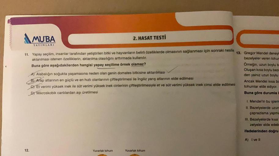 MUBA
YAYINLARI
12.
13.
11. Yapay seçilim, insanlar tarafından yetiştirilen bitki ve hayvanların belirli özelliklerde olmasının sağlanması için sonraki nesille
aktarılması istenen özelliklerin, aktarılma olasılığını arttırmada kullanılır.
Buna göre aşağıdak