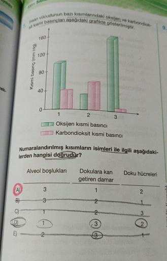 cek-
Bom Sol
A)
B)
C)
D
E)
Insan vücudunun bazı kısımlarındaki oksijen ve karbondiok-
sit kısmi basınçları aşağıdaki grafikte gösterilmiştir.
Kısmi basınç (mm Hg)
160
120
80
40+
0
3
1
Numaralandırılmış kısımların isimleri ile ilgili aşağıdaki-
lerden hangi