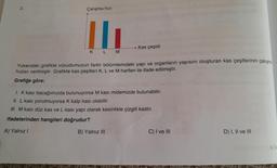 2.
Çalışma hızı
II
K L M
Kas çeşidi
Yukarıdaki grafikte vücudumuzun farklı bölümlerindeki yapı ve organların yapısını oluşturan kas çeşitlerinin çalışma
hızları verilmiştir. Grafikte kas çeşitleri K, L ve M harfleri ile ifade edilmiştir.
Grafiğe göre;
1. K kası bacağımızda bulunuyorsa M kasi midemizde bulunabilir.
II. L kası yorulmuyorsa K kalp kası olabilir.
III. M kası düz kas ve L kası yapı olarak kesinlikle çizgili kastır.
ifadelerinden hangileri doğrudur?
A) Yalnız I
B) Yalnız III
C) I ve III
D) I, II ve III
6. Sim