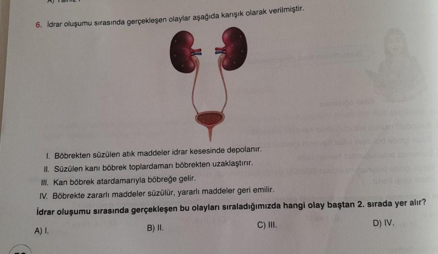 6. İdrar oluşumu sırasında gerçekleşen olaylar aşağıda karışık olarak verilmiştir.
1. Böbrekten süzülen atık maddeler idrar kesesinde depolanır.
II. Süzülen kanı böbrek toplardamarı böbrekten uzaklaştırır.
III. Kan böbrek atardamarıyla böbreğe gelir.
IV. B