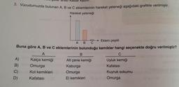 gular alasi Rastar kasi.
3. Vücudumuzda bulunan A, B ve C eklemlerinin hareket yeteneği aşağıdaki grafikte verilmiştir.
Hareket yeteneği
Eklem çeşidi
A B C
Buna göre A, B ve C eklemlerinin bulunduğu kemikler hangi seçenekte doğru verilmiştir?
A
C
A)
B)
C)
D)
Kalça kemiği
Omurga
Kol kemikleri
Kafatası
B
Alt çene kemiği
Kaburga
Omurga
El kemikleri
Uyluk kemiği
Kafatası
Kuyruk sokumu
Omurga