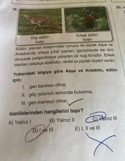 18.
Dişi sülün
kuşu
Erkek sülün
kuşu
Sülün; yapılan araştırmalar sonucu ilk olarak Asya ve
Anadolu'da ortaya çıkıp yayılan, günümüzde ise tüm
dünyada yetiştirilmeye çalışılan bir kuş türüdür. Erkek
olanları oldukça süslüdür, renkli ve parlak tüyleri vardır.
Yukarıdaki bilgiye göre Asya ve Anadolu, sülün
için;
1. gen bankası olma,
II. göç yolunun sonunda bulunma,
III. gen merkezi olma
özelliklerinden hangilerini taşır?
A) Yalnız I
B) Yalnız II
D) I ve III
20. A
C)Yalnız III
E) I, II ve III