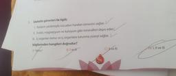 D 199
5. İskeletin görevleri ile ilgili;
I. Kasların yardımıyla vücudun hareket etmesini sağlar.
II. Fosfat, magnezyum ve kalsiyum gibi mineralleri depo eder.
III. İç organları korur ve iç organlara tutunma yüzeyi sağlar.
bilgilerinden hangileri doğrudur?
A) Yalnızl
B) Ive H
10
MARTES
C) ve III
I, II ve III