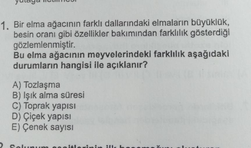 1. Bir elma ağacının farklı dallarındaki elmaların büyüklük,
besin oranı gibi özellikler bakımından farklılık gösterdiği
gözlemlenmiştir.
Bu elma ağacının meyvelerindeki farklılık aşağıdaki
durumların hangisi ile açıklanır?
A) Tozlaşma
B) Işık alma süresi
