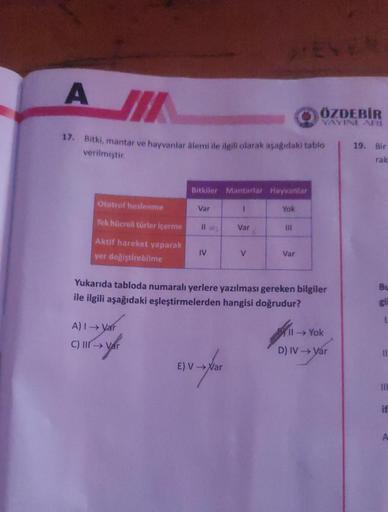 A JI
17. Bitki, mantar ve hayvanlar alemi ile ilgili olarak aşağıdaki tablo
verilmiştir.
Ototrof beslenme
Tek hücreli türler içerme
Aktif hareket yaparak
yer değiştirebilme
Bitkiler Mantarlar Hayvanlar
1
Yok
A) I→ Var
C) III → Var
→ya
Var
IV
Var
E) V → Nar