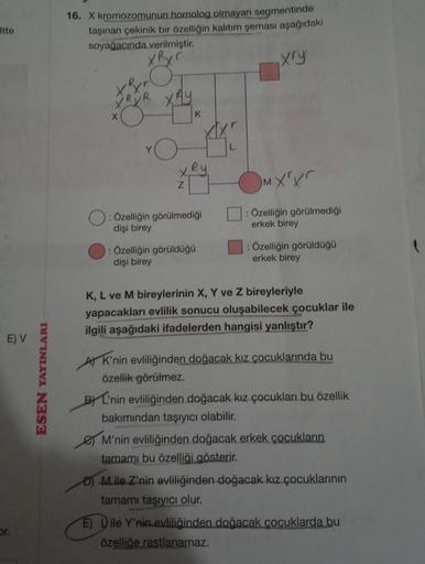Itte
E) V
or.
ESEN YAYINLARI
16. X kromozomunun homolog olmayan segmentinde
taşınan çekinik bir özelliğin kalıtım şeması aşağıdaki
soyağacında verilmiştir.
XR₂
xry
X3
XRYP
X
XRy
O
Z
K
Ry
O: Özelliğin görülmediği
dişi birey
: Özelliğin görüldüğü
dişi birey