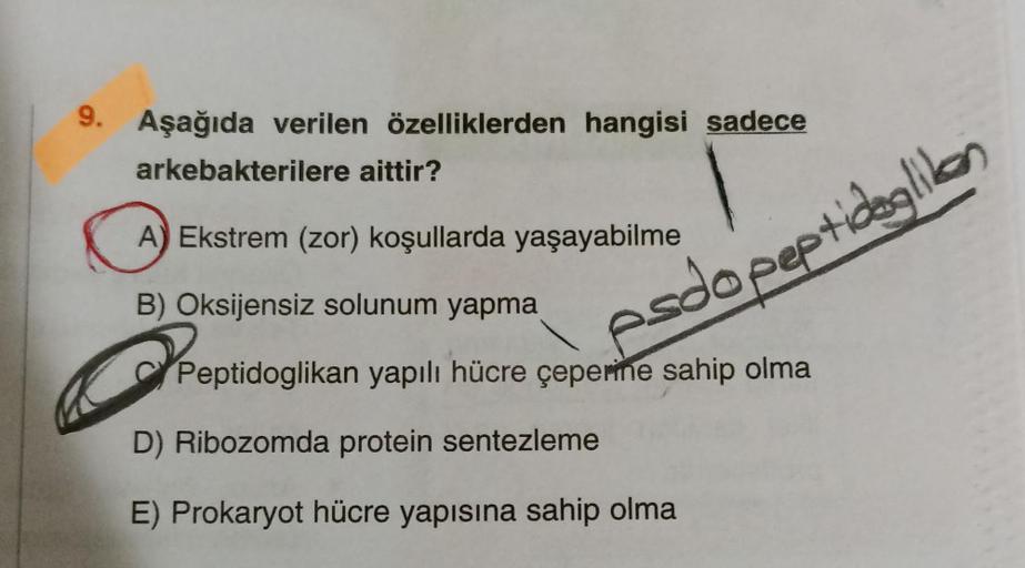 9. Aşağıda verilen özelliklerden hangisi sadece
arkebakterilere aittir?
A) Ekstrem (zor) koşullarda yaşayabilme
B) Oksijensiz solunum yapma
Peptidoglikan yapılı hücre çeperine sahip olma
D) Ribozomda protein sentezleme
E) Prokaryot hücre yapısına sahip olm