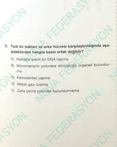 SYON
15. Tipik bir bakteri ve arke hücresi karşılaştırıldığında aşa-
ğıdakilerden hangisi kesin ortak değildir?
A) Halkasal şekilli bir DNA taşıma
B) Monomerlerin polimere dönüştü
ON
A FEDERAS
ma
Kemosentez yapma
D) Metan gazı üretme
Zarla çevrili çekird
E