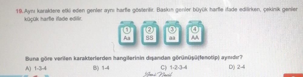 19. Aynı karaktere etki eden genler aynı harfle gösterilir. Baskın genler büyük harfle ifade edilirken, çekinik genler
küçük harfle ifade edilir.
Aa
2
SS
3
aa
4
AA
Buna göre verilen karakterlerden hangilerinin dışarıdan görünüşü(fenotip) aynıdır?
A) 1-3-4