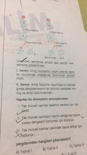 4.
N
"Kalite ve Güvenin Ad
İkiye bölünme
1 Olgunlaşma
ve ill
Olgunlaşma
Sitoplazma
kesilir.
Bölünmez Ölür.
Yukarıdaki şekillerde amiple ilgili yapılan bazı
deneyler gösterilmiştir.
I. deney: Amip hücresinin hacmi artarak belirli
bir büyüklüğe ulaştığında b