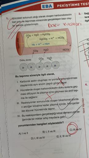 So
1. Hücresel solunum atığı olarak oluşan karbondioksitin
kan yolu ile taşınması sürecinde gerçekleşen bazı olay-
lar şekilde gösterilmiştir.
Kanın akışı
luxplom
Doku SIVISI
EBA
CO2 + H2O → H2CO3
CO2
Hb + H+→ HbH
DOKU Kılcalları
H2CO3 → H+ + HCO3
H₂O
A) I