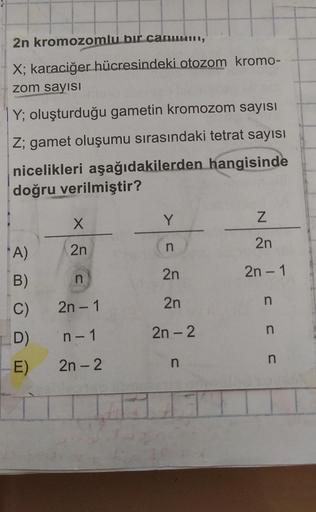 2n kromozomlu bir canum,
X; karaciğer hücresindeki otozom kromo-
zom sayısI
Y; oluşturduğu gametin kromozom sayısı
Z; gamet oluşumu sırasındaki tetrat sayısı
nicelikleri aşağıdakilerden hangisinde
doğru verilmiştir?
"A)
B)
C)
ID)
X
2n
n
2n-1
n-1
E) 2n-2
Y