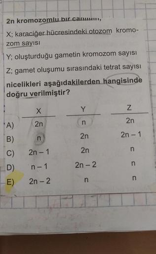 2n kromozomlu bir canum,
X; karaciğer hücresindeki otozom kromo-
zom sayısI
Y; oluşturduğu gametin kromozom sayısı
Z; gamet oluşumu sırasındaki tetrat sayısı
nicelikleri aşağıdakilerden hangisinde
doğru verilmiştir?
"A)
B)
C)
ID)
X
2n
n
2n-1
n-1
E) 2n-2
Y
