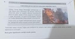 5.
HIZLI HABER
CAM KIRIKLARI 80 HEKTAR KIZILÇAM ORMANINI YAKTI!
Adana, Orman Bölge Müdürlüğü yetkililerinden al-
dığı bilgiye göre, bilinmeyen bir sebeple Hakkıbeyli
Köyü'nde çıkan ve rüzgârın etkisiyle Aydınlaryurdu
Köyü'ne kadar ulaşan orman yangınına 6 helikopter,
1 uçak, 30 arozöz, 12 dozer ile Büyükşehir, Seyhan
ve Yüreğir Belediyeleri itfaiye ekipleri müdahale etti.
5 saat süren ve rüzgârın etkisiyle hızla yayılan yangın-
da, yaklaşık 80 hektar kızılçam ormanı zarar gördü.
1 Ocak 2019
Yukarıdaki haberi okuyan Tuğba cam kırıklarının bu yangına nasıl sebep olduğunu merak etmiş ve okulda
öğretmenine sormuştur.
Buna göre öğretmenin verdiği cevabı yazınız.