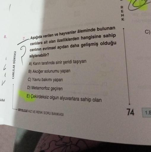 8.
LOJİ
CANLILAR DÜNYASI
Aşağıda verilen ve hayvanlar âleminde bulunan
canlılara ait olan özelliklerden hangisine sahip
canlının evrimsel açıdan daha gelişmiş olduğu
söylenebilir?
A) Karın tarafında sinir şeridi taşıyan
B) Akciğer solunumu yapan
C) Yavru b