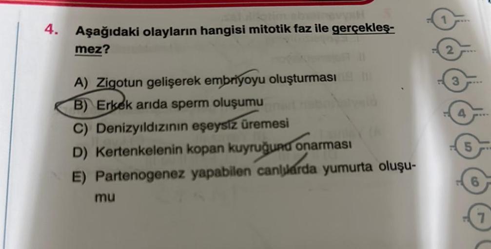 4.
Aşağıdaki olayların hangisi mitotik faz ile gerçekleş-
mez?
A) Zigotun gelişerek embriyoyu oluşturması
B) Erkek arida sperm oluşumu
C) Denizyıldızının eşeysiz üremesi
D) Kertenkelenin kopan kuyruğund onarması
E) Partenogenez yapabilen canlarda yumurta o