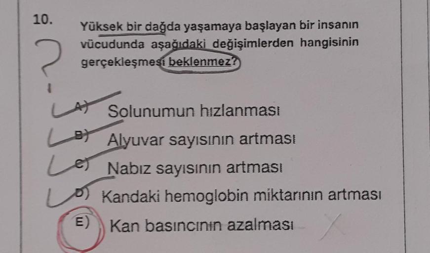 10.
Yüksek bir dağda yaşamaya başlayan bir insanın
vücudunda aşağıdaki değişimlerden hangisinin
gerçekleşmesi beklenmez?
LAY
Lot
Les
E)
Solunumun hızlanması
Alyuvar sayısının artması
Nabız sayısının artması
Kandaki hemoglobin miktarının artması
Kan basıncı