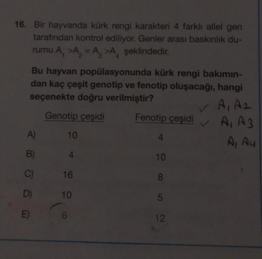 16. Bir hayvanda kürk rengi karakteri 4 farklı allel gen
tarafından kontrol ediliyor. Genler arası baskınlık du-
rumu A₁ >A₂ = A >A şeklindedir.
Bu hayvan popülasyonunda kürk rengi bakımın-
dan kaç çeşit genotip ve fenotip oluşacağı, hangi
seçenekte doğru
