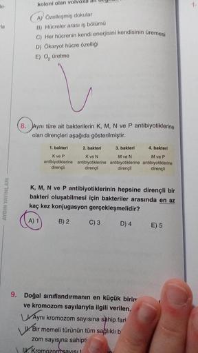 10-
AYDIN YAYINLARI
koloni olan volvo
AÖzelleşmiş dokular
B) Hücreler arası iş bölümü
C) Her hücrenin kendi enerjisini kendisinin üremesi
D) Ökaryot hücre özelliği
E) O₂ üretme
8. Aynı türe ait bakterilerin K, M, N ve P antibiyotiklerine
olan dirençleri aş