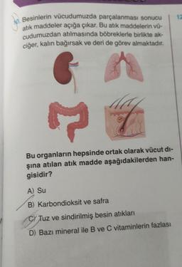 Besinlerin vücudumuzda parçalanması sonucu
atık maddeler açığa çıkar. Bu atık maddelerin vü-
cudumuzdan atılmasında böbreklerle birlikte ak-
ciğer, kalın bağırsak ve deri de görev almaktadır.
Bu organların hepsinde ortak olarak vücut di-
şına atılan atık madde aşağıdakilerden han-
gisidir?
A) Su
B) Karbondioksit ve safra
CYTuz ve sindirilmiş besin atıkları
D) Bazı mineral ile B ve C vitaminlerin fazlası
12