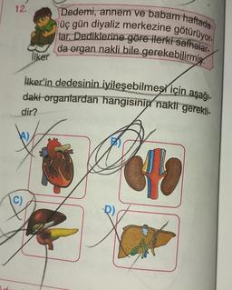 12.
(C)
de
İlker
Dedemi, annem ve babam haftada
üç gün diyaliz merkezine götürüyor-
lar. Dediklerine göre ilerki safhalar-
da organ nakli bile gerekebilirmiş.
İlker'in dedesinin iyileşebilmesi için aşağı-
daki organlardan hangisinin nakli gerekli-
dir?
610
s