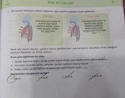 SINIF
FEN BİLİMLERİ
3. Gaz basıncı konusunu anlatan öğretmen, öğrencilerine aşağıdaki posteri gösteriyor.
Soluk Verme
Soluk Alma
Kaburgalar arası kaslar ve
diyafram kası kasılır.
Diyafram düzleşir, göğüs
kafesi genişler. Akciğer-
lere hava dolar.
Kaburgalar arası kaslar ve
diyafram kası gevşer.
Diyafram kubbeleşir,
göğüs kafesi daralır.
Akciğerlerdeki hava dışarı
atılır.
Soluk alıp verme olayının, gazların basınç özelliklerinden yararlandığımız durumlara örnek olduğunu
söyleyen öğretmen, bu örneği açıklıyor.
Buna göre öğretmen bu olayı,
I. Gazlar, basıncın büyük olduğu yerden küçük olduğu yere hareket etme eğilimindedir.
II. Atmosferi oluşturan gazlar, atmosfer içindeki varlıklara basınç uygular.
III. Göğüs kafesi genişlediğinde akciğerlerdeki gazın basıncı azalır.
bilgilerinden hangileriyle açıklar?
A) Yalnız I
B've III
C) II ve III
D) ve III