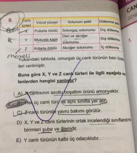 9.
Canlı
türleri
Y
Z
memeli
Vücut yüzeyi
Pullarla örtülü
Mukusla kaplı
Kıllarla örtülü
Solunum şekli
Solungaç solunumu
Deri ve akciğer
solunumu
Akciğer solunumu
Döllenme
şeki
Dış döllenme
Dış döllenme
lç döllenme
CAN
GENE
Yukarıdaki tabloda, omurgalı üç ca