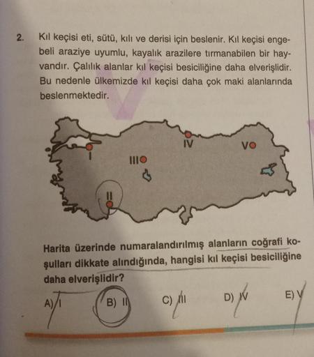 2.
Kıl keçisi eti, sütü, kılı ve derisi için beslenir. Kıl keçisi enge-
beli araziye uyumlu, kayalık arazilere tırmanabilen bir hay-
vandır. Çalılık alanlar kıl keçisi besiciliğine daha elverişlidir.
Bu nedenle ülkemizde kıl keçisi daha çok maki alanlarınd