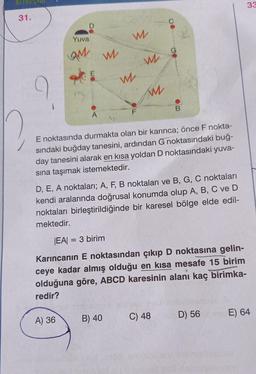 KITAC
31.
Yuva
QMW
E
A) 36
M
W
F
B) 40
W
M
E noktasında durmakta olan bir karınca; önce F nokta-
sındaki buğday tanesini, ardından G noktasındaki buğ-
day tanesini alarak en kısa yoldan D noktasındaki yuva-
sına taşımak istemektedir.
D, E, A noktaları; A, F, B noktaları ve B, G, C noktaları
kendi aralarında doğrusal konumda olup A, B, C ve D
noktaları birleştirildiğinde bir karesel bölge elde edil-
mektedir.
B
|EA| = 3 birim
Karıncanın E noktasından çıkıp D noktasına gelin-
ceye kadar almış olduğu en kısa mesafe 15 birim
olduğuna göre, ABCD karesinin alanı kaç birimka-
redir?
C) 48
D) 56
33
E) 64