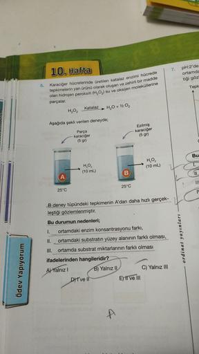 Ödev Yapıyorum
5.
10. Hafta
Karaciğer hücrelerinde üretilen katalaz enzimi hücrede
tepkimelerin yan ürünü olarak oluşan ve zehirli bir madde
olan hidrojen peroksiti (H₂O₂) su ve oksijen moleküllerine
parçalar.
(A
Katalaz
H₂O₂
Aşağıda şekli verilen deneyde;