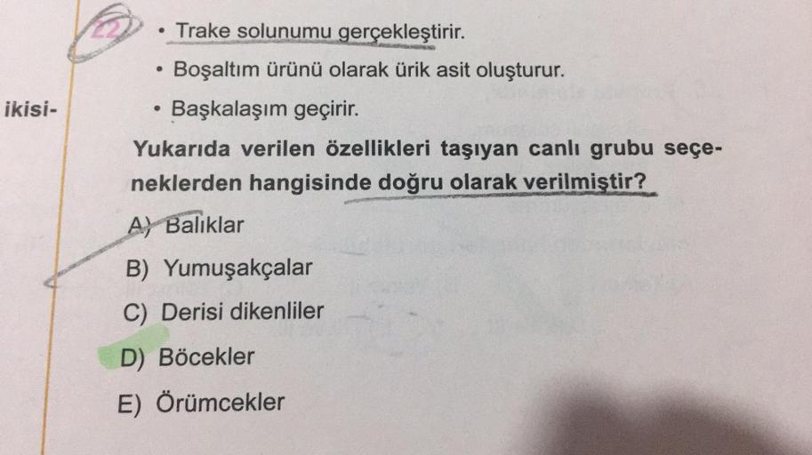 ikisi-
• Trake solunumu gerçekleştirir.
Boşaltım ürünü olarak ürik asit oluşturur.
Başkalaşım geçirir.
●
Yukarıda verilen özellikleri taşıyan canlı grubu seçe-
neklerden hangisinde doğru olarak verilmiştir?
A Baliklar
B) Yumuşakçalar
C) Derisi dikenliler
D