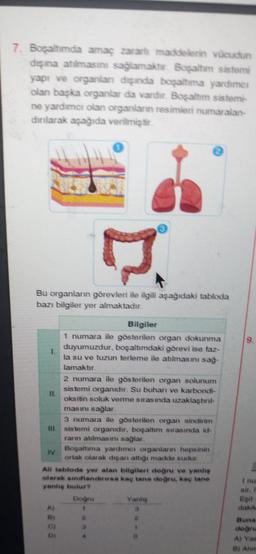 7. Boşaltımda amaç zararlı maddelerin vücudun
dışına atılmasını sağlamaktır. Boşaltım sistemi
yapı ve organlan dışında boşaltıma yardımcı
olan başka organlar da vardır. Boşaltım sistemi-
ne yardımcı olan organların resimleri numaralan-
dırılarak aşağıda verilmiştir.
7
Bu organların görevleri ile ilgili aşağıdaki tabloda
bazı bilgiler yer almaktadır.
11.
IV.
3 numara ile gösterilen organ sindirim
III sistemi organidir, boşaltım sırasında id
rarın atılmasını sağlar.
Bilgiler
1 numara ile gösterilen organ dokunma
duyumuzdur, boşaltımdaki görevi ise faz-
la su ve tuzun terleme ile atılmasını sağ-
lamaktır.
2666
2 numara ile gösterilen organ solunum
sistemi organıdır. Su buharı ve karbondi-
oksitin soluk verme sırasında uzaklaştırıl
masını sağlar.
D)
All tabloda yer alan bilgileri doğru ve yanlış
olarak sınıflandırırsa kaç tane doğru, kaç tane
yanlış bulur?
Boşaltıma yardimci organların hepsinin
ortak olarak dışarı attığı madde sudur.
Doğru
1
3
4
Yanlış
3
S
1
0
9.
I nu
sir, I
Eşit
dakik
Buna
doğru
A) Yas
B) Ahm