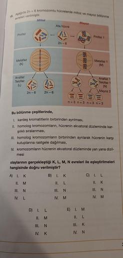 18. Aşağıda 2n = 6 kromozomlu hücrelerde mitoz ve mayoz bölünme
evreleri verilmiştir.
Profaz
Metafaz
(K)
Anafaz
Telofaz
(L)
2n-6
Mitoz
34
2n-6
-
D) I. L
II. M
III.
IV.
JMNY
Ata hücre
K
2n-6
Mayoz
-88
Bu bölünme çeşitlerinde,
I. kardeş kromatitlerin birbiri